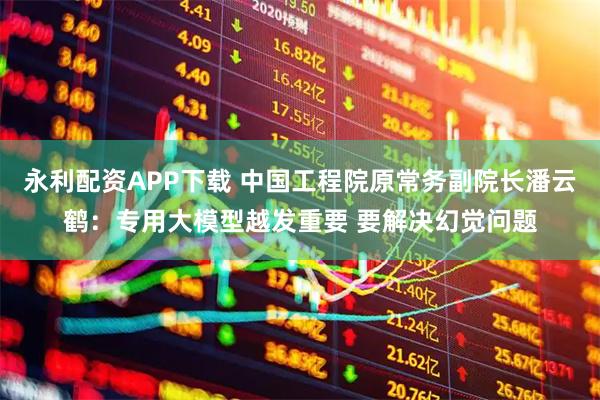 永利配资APP下载 中国工程院原常务副院长潘云鹤：专用大模型越发重要 要解决幻觉问题