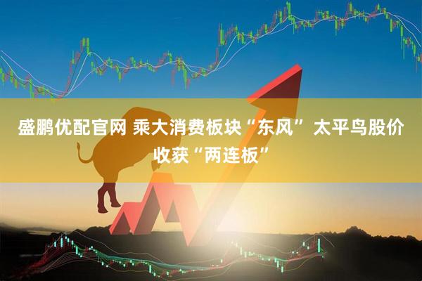 盛鹏优配官网 乘大消费板块“东风” 太平鸟股价收获“两连板”