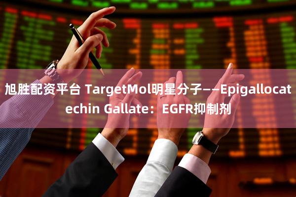 旭胜配资平台 TargetMol明星分子——Epigallocatechin Gallate：EGFR抑制剂